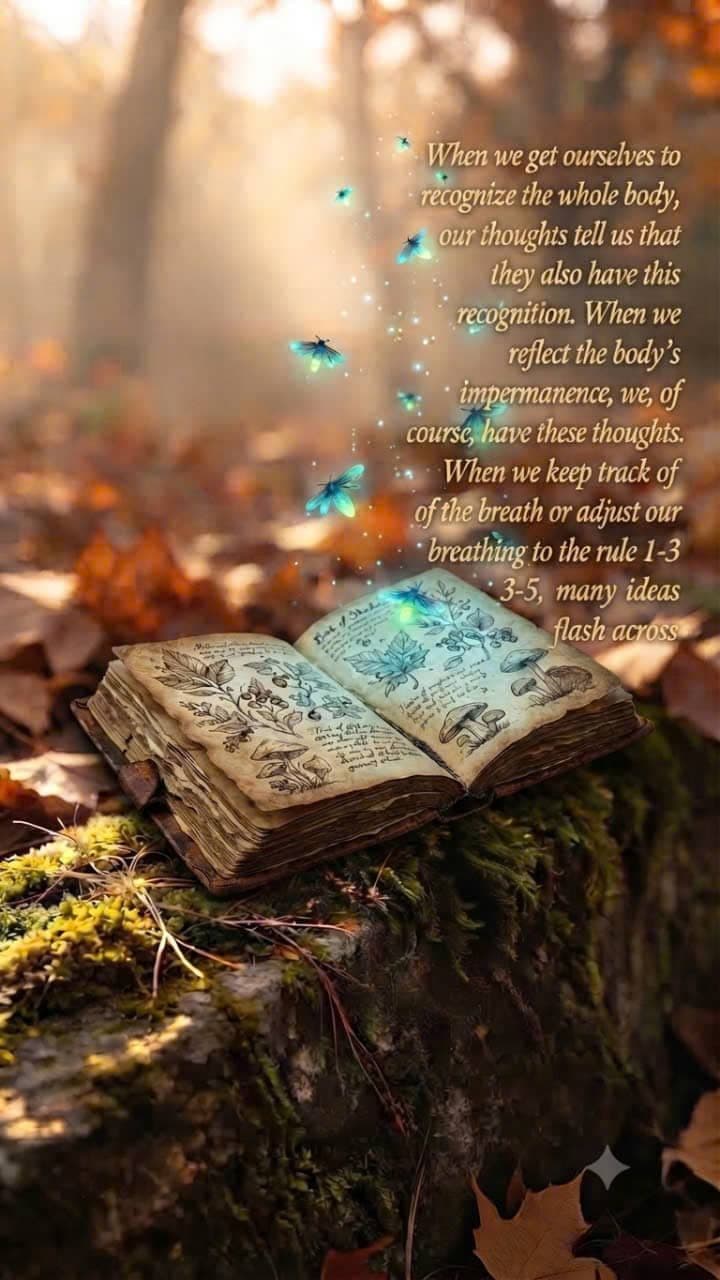 An open ancient book in a peaceful forest with glowing fireflies, symbolizing body impermanence, thoughts, breath, and meditation.
