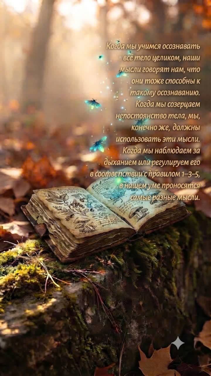 Открытая старинная книга в тихом лесу среди светящихся светлячков, символизирующих непостоянство тела, мысли, дыхание и медитацию.