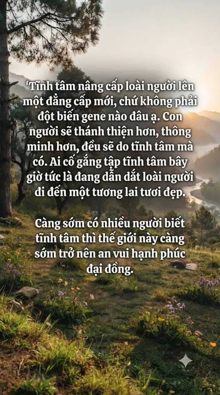 Phong cảnh bình minh thanh bình trên núi và dòng sông, kèm theo câu danh ngôn ý nghĩa về sự thiền định, tâm trí sáng suốt và hạnh phúc.