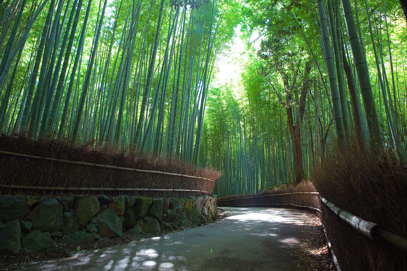 Meditation in quiet nature